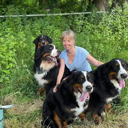 Le Moulin Du Chemin Gæstehus Scillé