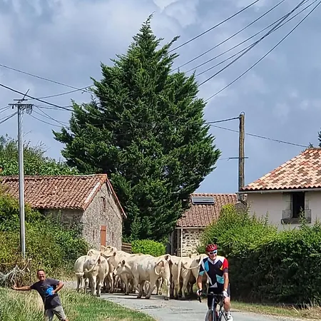 Gæstehus Le Moulin Du Chemin 3*