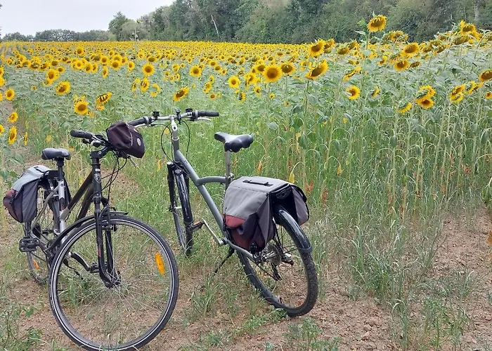 Le Moulin Du Chemin 3*