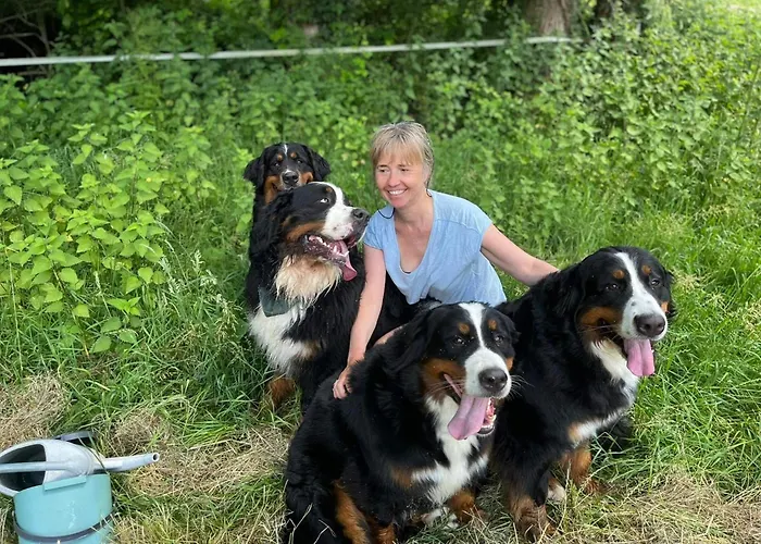 Le Moulin Du Chemin Maison d'hôtes Scillé