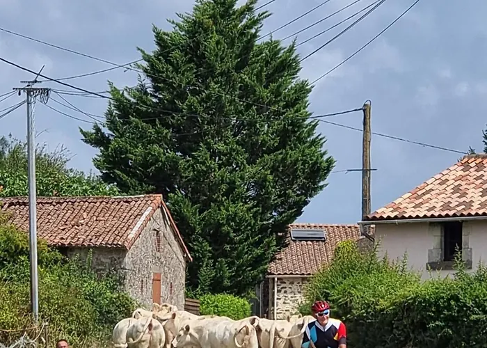 Maison d'hôtes Le Moulin Du Chemin 3*